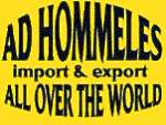 Ad Hommeles Antiques Schaijk