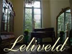 Leliveld-Doomen Tongeren